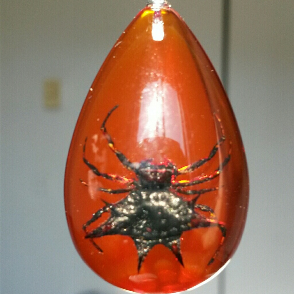 REAL Spiny Spider Lucite Necklace